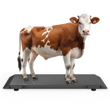 Load image into Gallery viewer, SOCOME Heavy-Duty Floor Scales